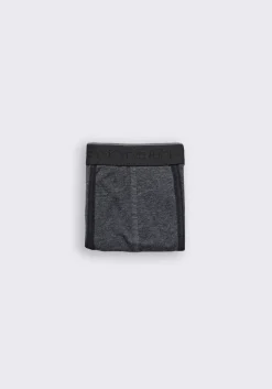 Boxer basic