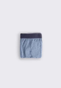 Boxer basic