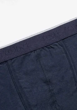 Boxer basic