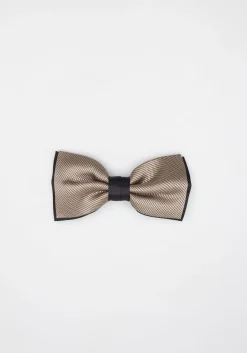 Papillon fantasia