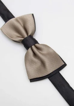 Papillon fantasia