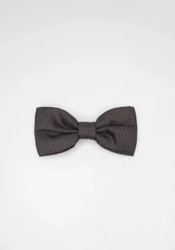 Papillon fantasia