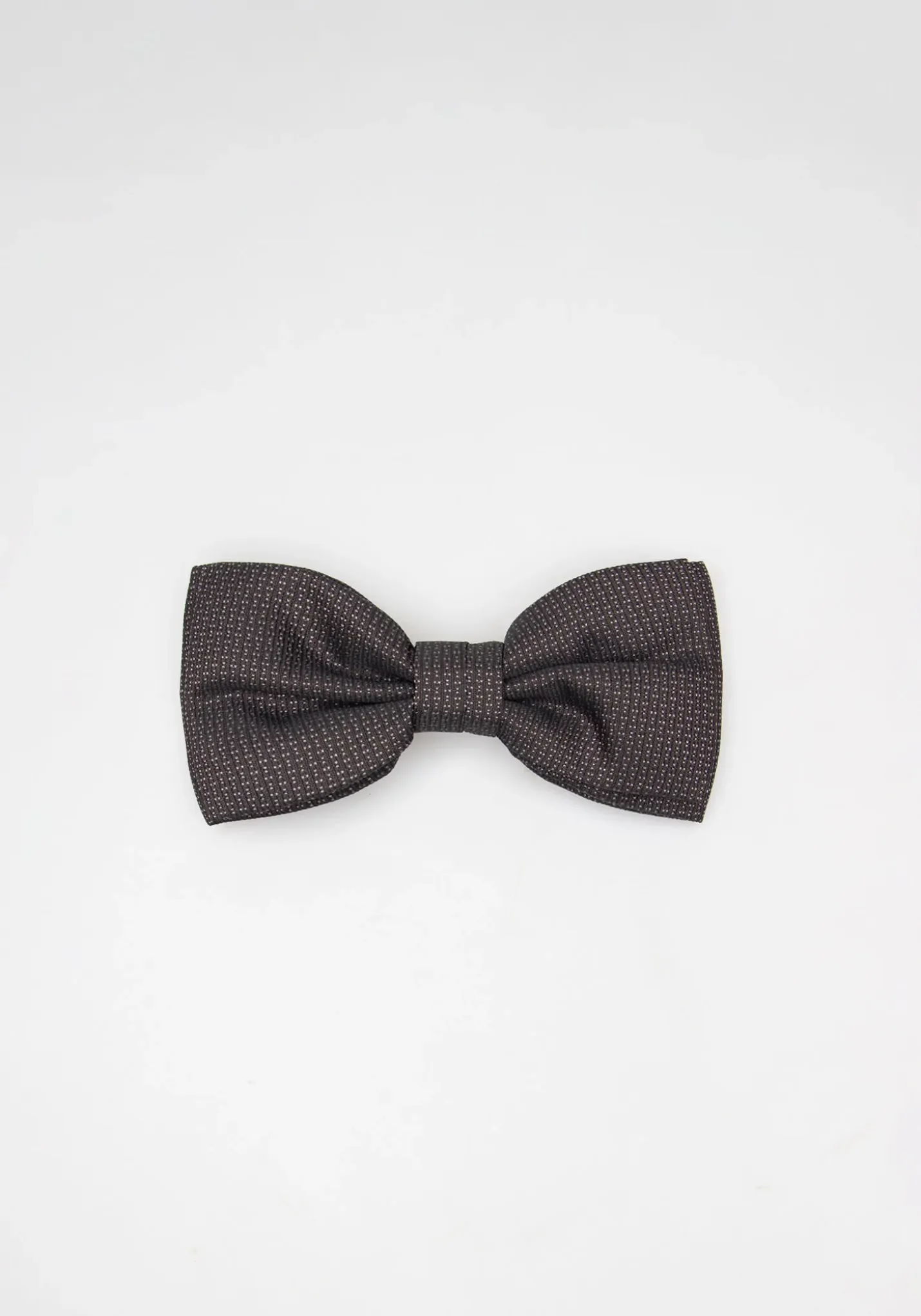 Papillon fantasia