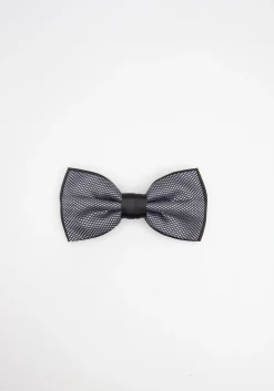Papillon fantasia