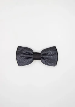 Papillon fantasia