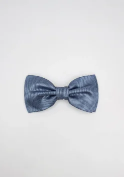 Papillon fantasia