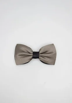 Papillon fantasia