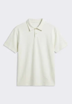 Polo 100% cotone