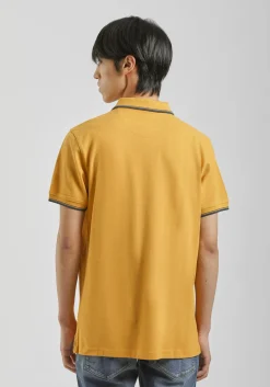 Polo 100% cotone