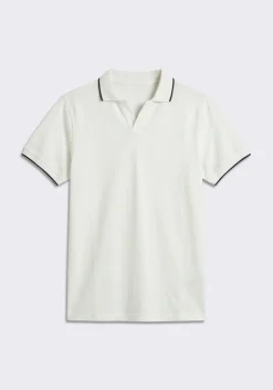 Polo 100% cotone