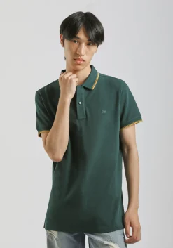 Polo 100% cotone