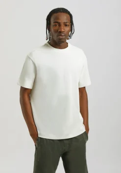 T-shirt 100% cotone
