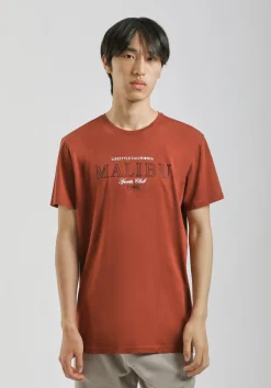 T-shirt 100% cotone con stampa
